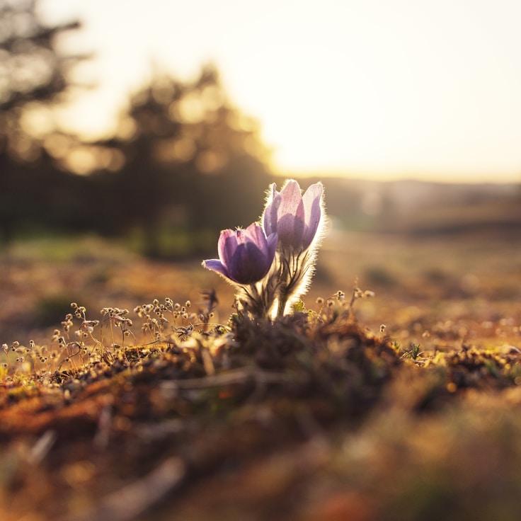 Nature travel hero image